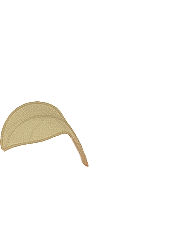 plant leaf