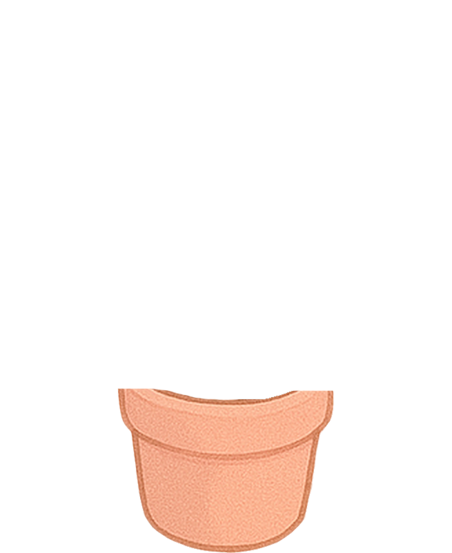 plant pot